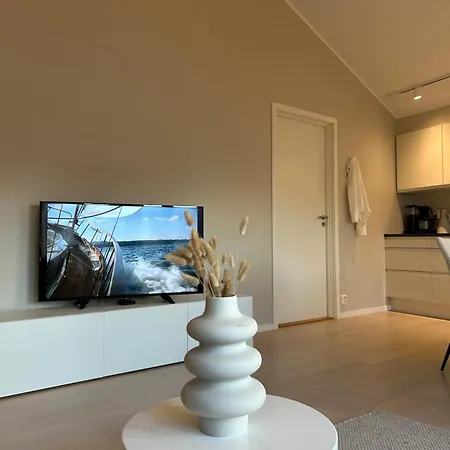 Modern Right In The Center With A Large Terrace * Stavanger